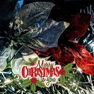 Meet your Posher, Krista